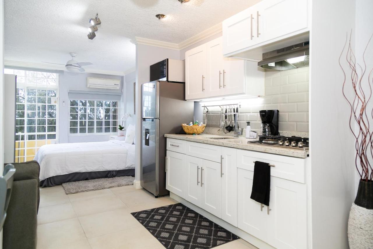 Choose To Be Happy At Seymour # 9 And #16 - Studio Apartments Kingston Exterior photo